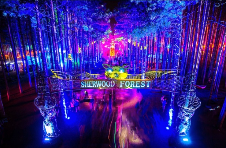 Electric forest