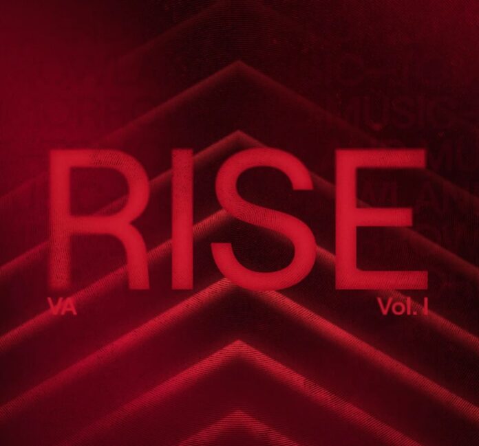 rise-tomorrowland-music-ravejungle