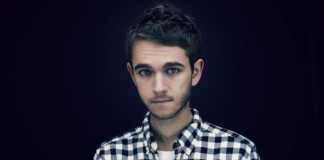 zedd stay