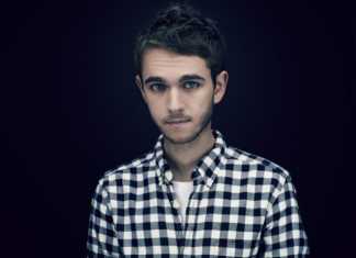 zedd stay