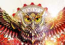 EDC Las Vegas 2016 SET TIMES Announced