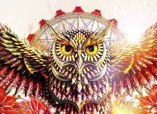 Most Popular Page 470 Of 478 Rave Jungle