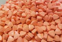Doctor and policeman has called for MDMA to be sold in pharmacies music festival