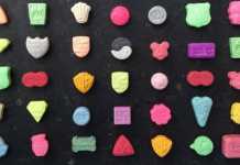 Authorities have seized 500kg of MDMA and Cocaine worth around 140 million dollars most popular ecstasy pills