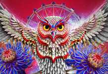 Insomniac announces Electric Daisy Carnival Japan set to debut in Tokyo Electric Daisy Carnival Japan