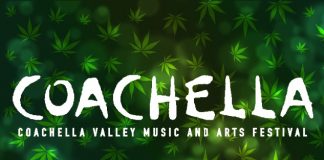 coachella 2017 marijuana