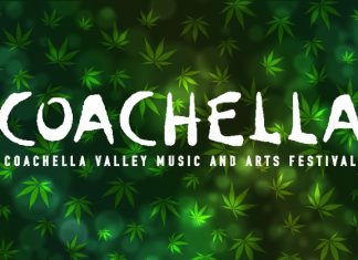 coachella 2017 marijuana