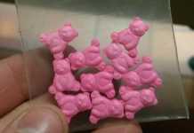 WARNING issued about Pink Teddy Bear ecstasy pills