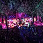 stuck in a tree middlelands