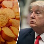 Donald Trump ecstasy pills