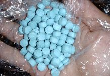 Warning issued over Light Blue Dolphins and the Orange Louis Vuitton ecstasy pills ecstasy pills