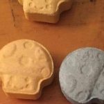 Warning issued over ‘Blue Mushroom’ Ecstasy pills ahead of Halloween EDM events! blue mushroom ecstasy