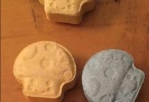 blue mushroom ecstasy