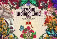 beyond wonderland