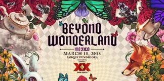 beyond wonderland