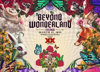 beyond wonderland