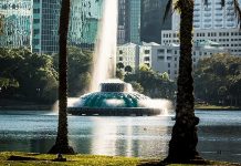 Man high on ‘Molly’ steals swan boat, strands himself at Lake Eola