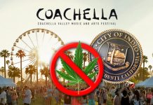 coachella marijuana