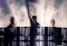 swedish house mafia future