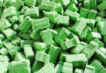 6 drug overdoses, 17-yr old boy caught with 600 pills at this music festival green heineken ecstasy pills
