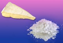 MDMA Wrapped in Brie Cheese: A new popular trend at parties mdma cheese