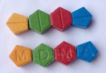 13 yr-old kid charged with dealing MDMA at music festival