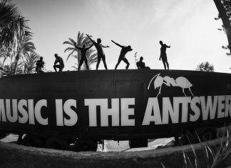 ANTS