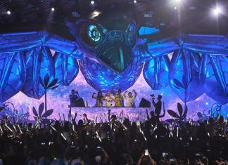 Ushuaïa Ibiza Tomorrowland (2)
