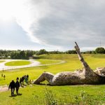 De Schorre Park in Boom, received another piece of artwork, thanks to Tomorrowland