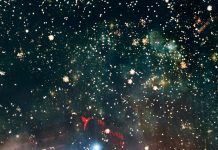 David Guetta’s F*** ME I’M FAMOUS! event at Ushuaïa Ibiza was definitely one of the best this summer