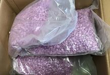 Couple orders clothes on internet gets 25,000 Ecstasy pills instead
