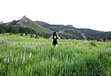 Laura Brehm (Monstercat) asks fans to help plant 10,000 trees Laura Brehm