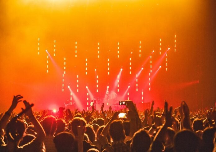 Plagiarism Among Popular Musicians
