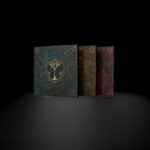 Tomorrowland is releasing a Vinyl Box filled with music from the early days