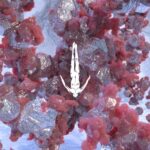 Stephan Bodzin releases the first single from his forthcoming album ‘Boavista’ on Afterlife
