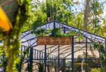 Chef Ton of Asia’s Best Restaurant 2023 will be cooking at Tomorrowland 2023 festival