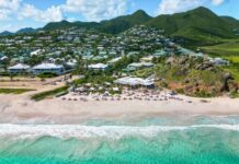 Mellow Island Festival Unveils Lineup for Debut Edition