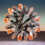 Chris Avantgarde unveils his brand new single on Afterlife ‘Perception’