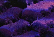 Tomorrowland Music and Rampage are teaming up for an exciting collaborative EP