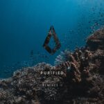 Purified Records presents the Remixes II compilation
