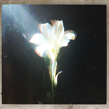 Netsky Bebe Rexha Light That Leads Me