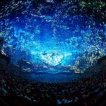 Symphony of Unity reimagines the all-time dance classic ‘Insomnia’ by Faithless