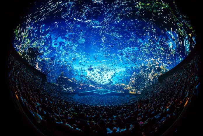 symphony-of-unity-sphere-rave-jungle