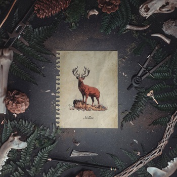 Of The Trees Lyny Hollow