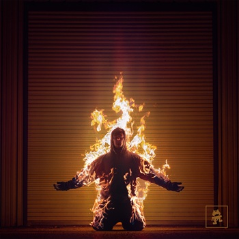 Virtual Riot Burning Out