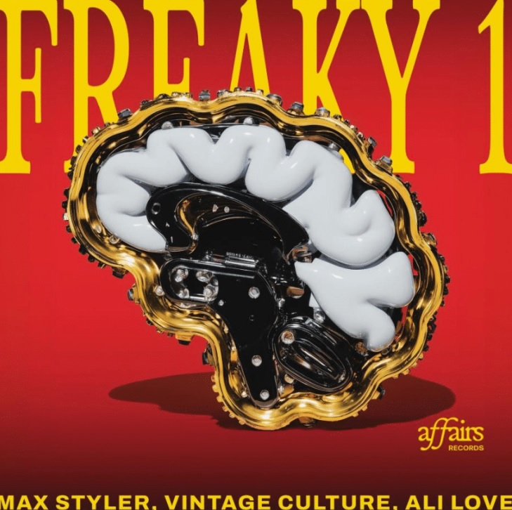 Vintage Culture Max Styler Ali Love Freaky1